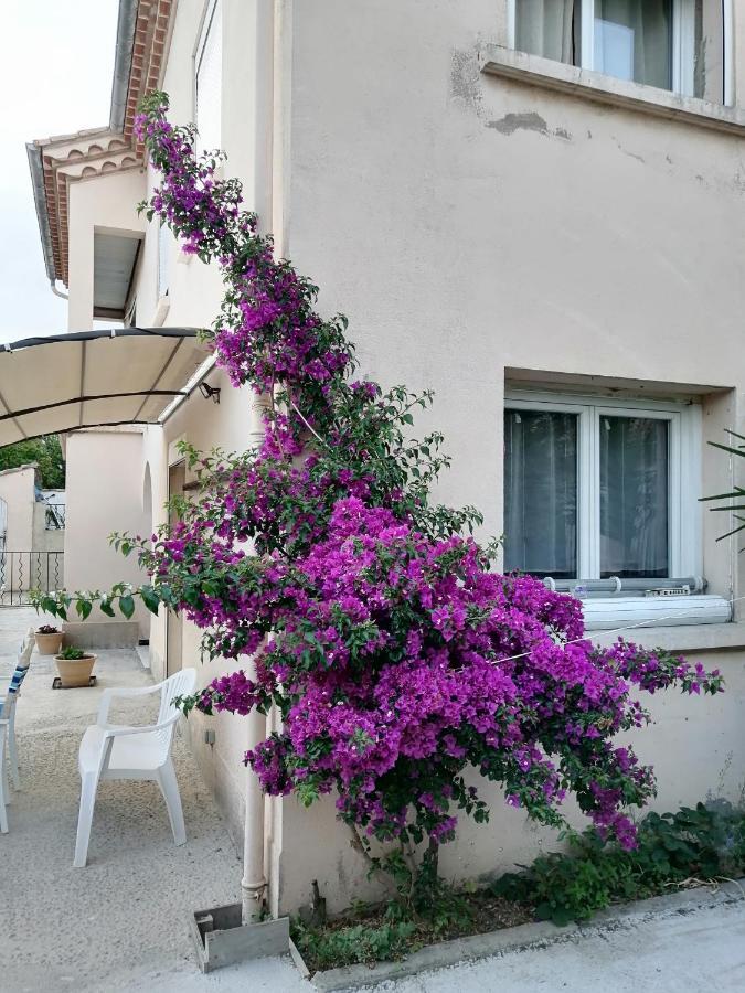 La Maison De 6Fran Appartement 2 Chaleureux Et Calme Ambiance Familiale Valros ภายนอก รูปภาพ
