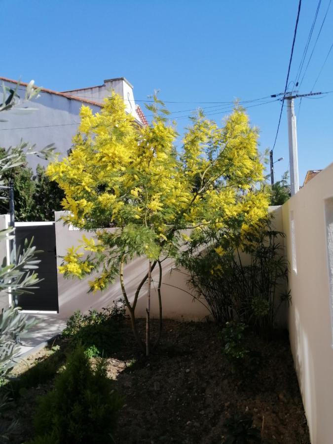 La Maison De 6Fran Appartement 2 Chaleureux Et Calme Ambiance Familiale Valros ภายนอก รูปภาพ